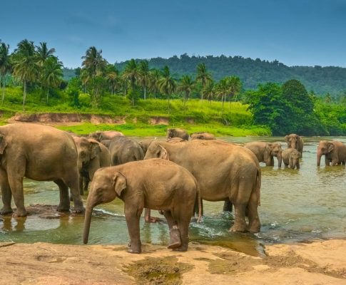 Sri Lanka Travel Advice